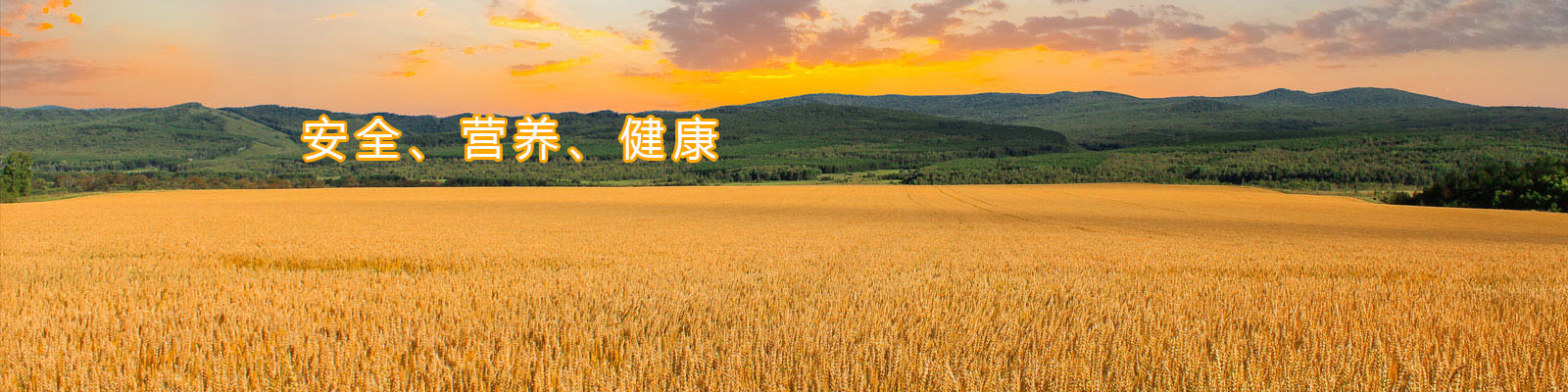 Z6��������ʱ��(�й���)�ٷ���վ