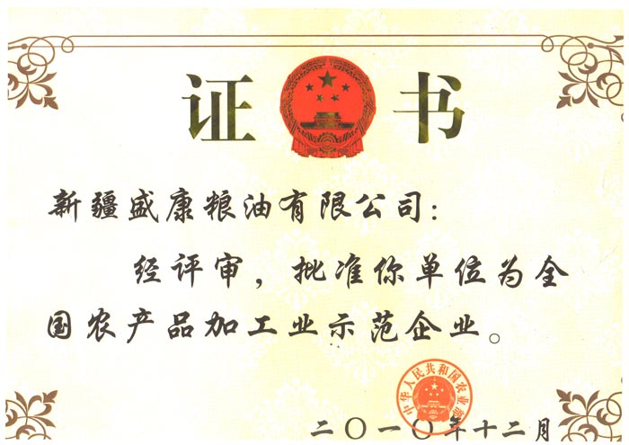 2010��������ģ��ҵ