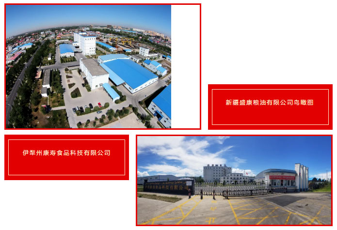 Z6��������ʱ��(�й���)�ٷ���վ