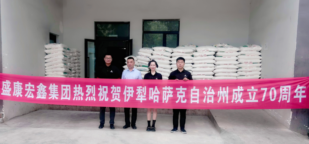 ������ʮ�����ܽ������� | Z6������ʱ�������������ݹ����������ݽ���70����